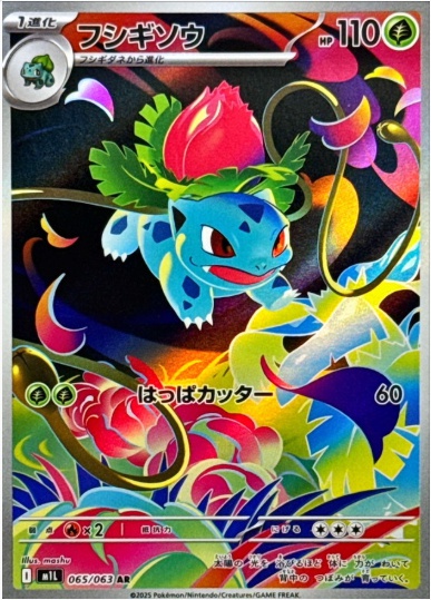 フシギソウ AR 065 063